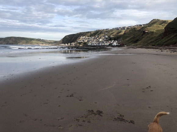 beach