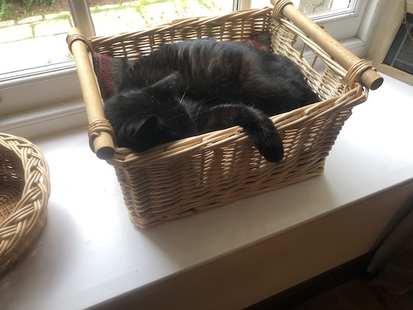 Bertie