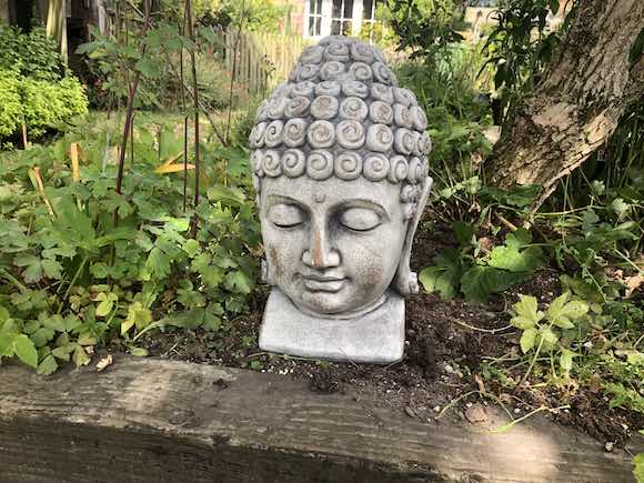 Buddha