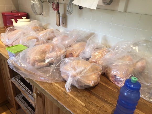 chickens