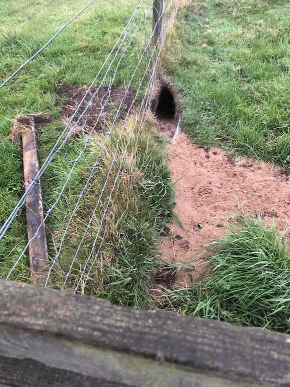 digging