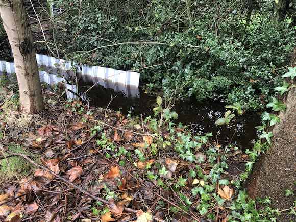 Ditch