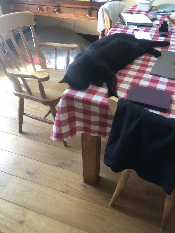 Bertie