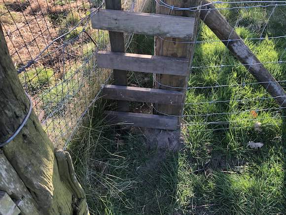 fence