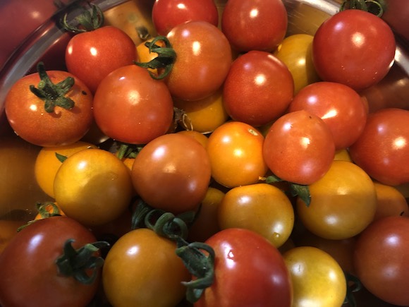 tomatoes