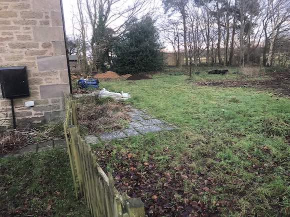 front garden