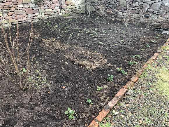 fruitgarden