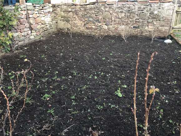 fruit garden