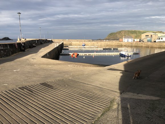 harbour