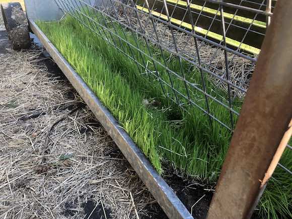 hay rack