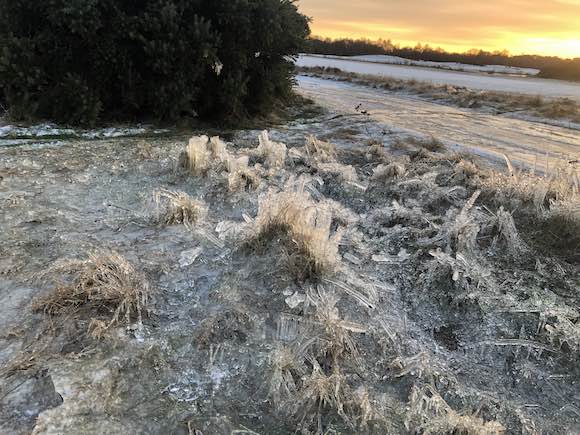 Ice