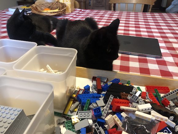 Lego kittens