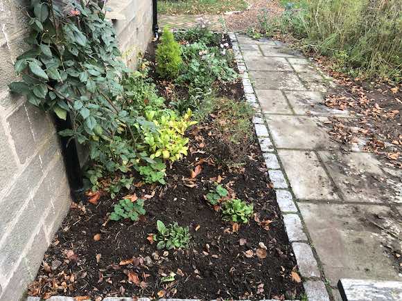 front garden