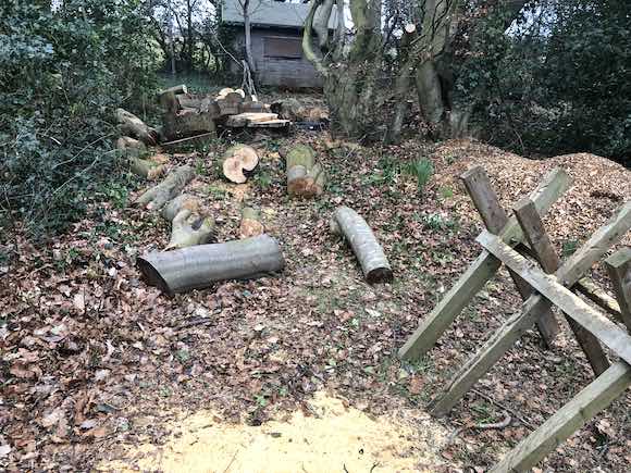 logs