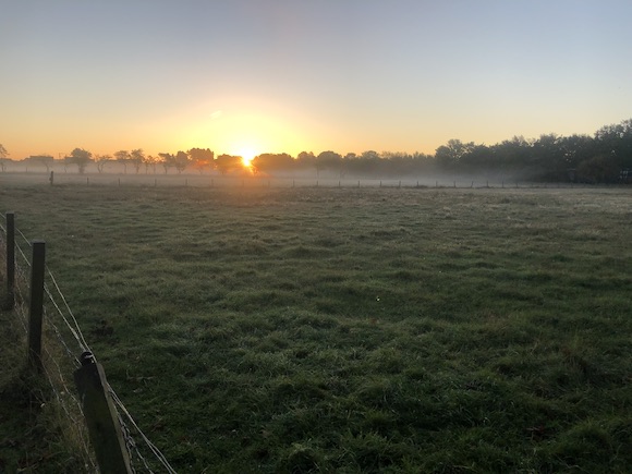 mist