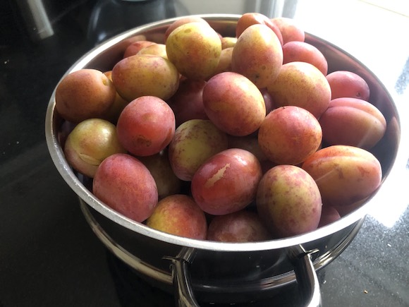 Plums