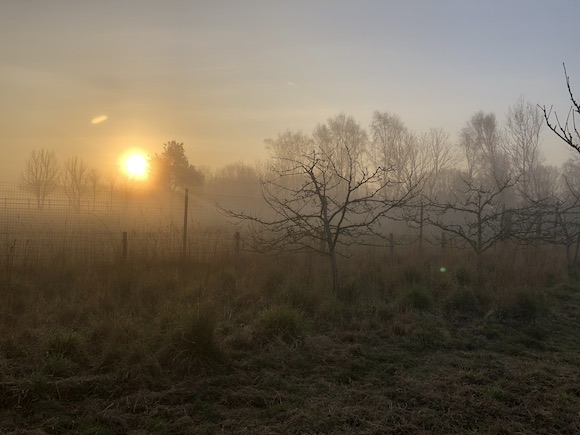 sunrise