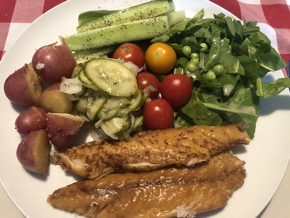 mackerel