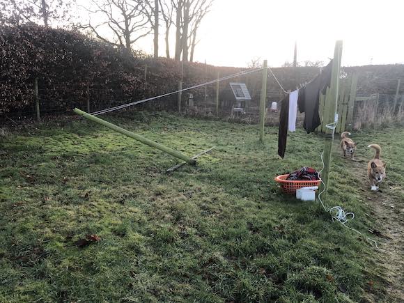 washing line