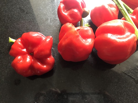 peppers