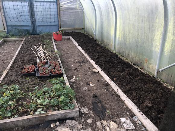 polytunnel