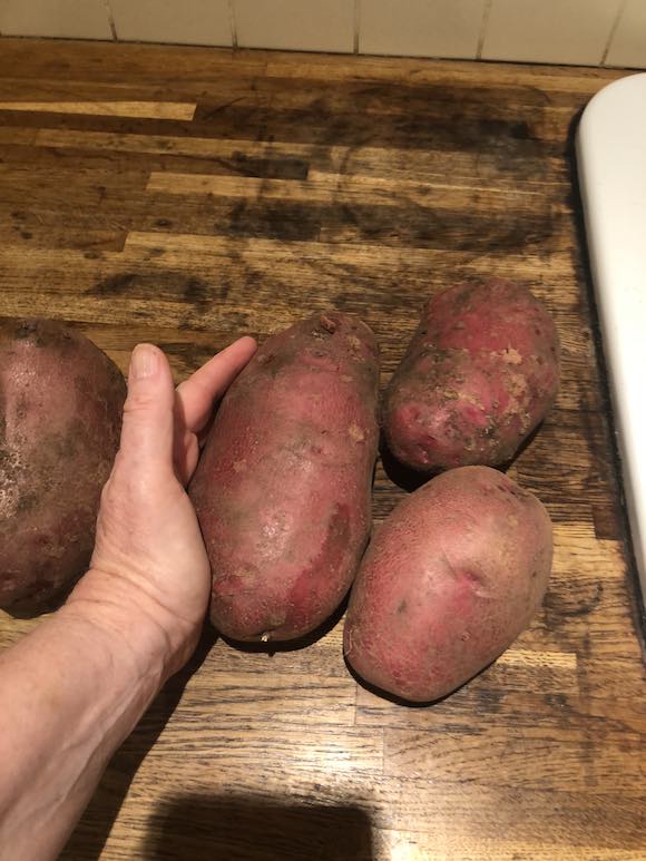 potato