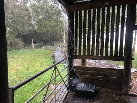 rain