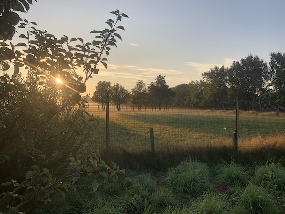 sunrise