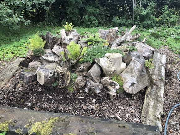 stumpery