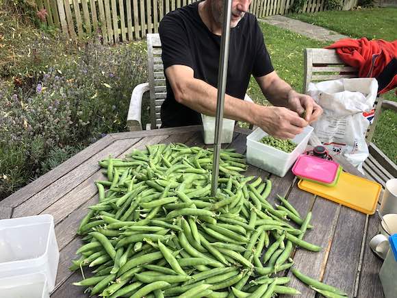 peas