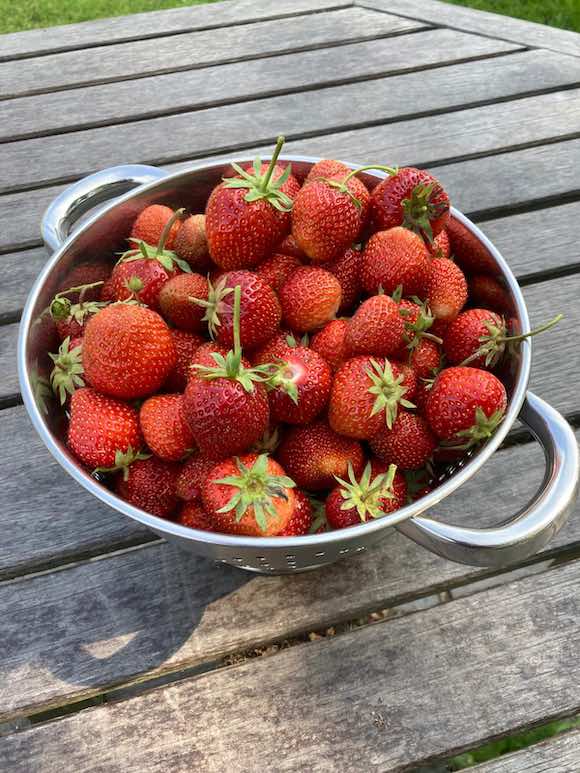 strawberries