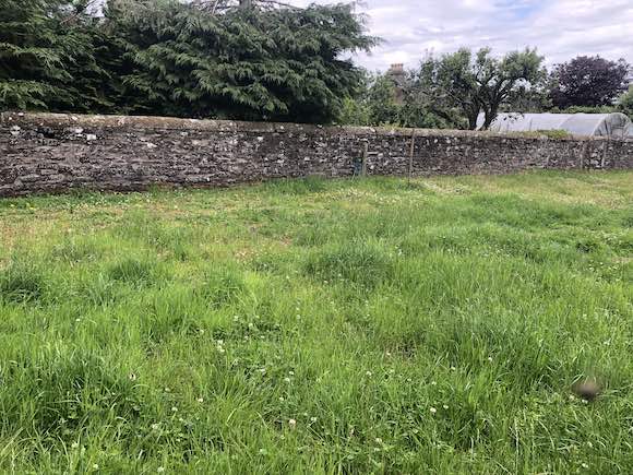 Wall