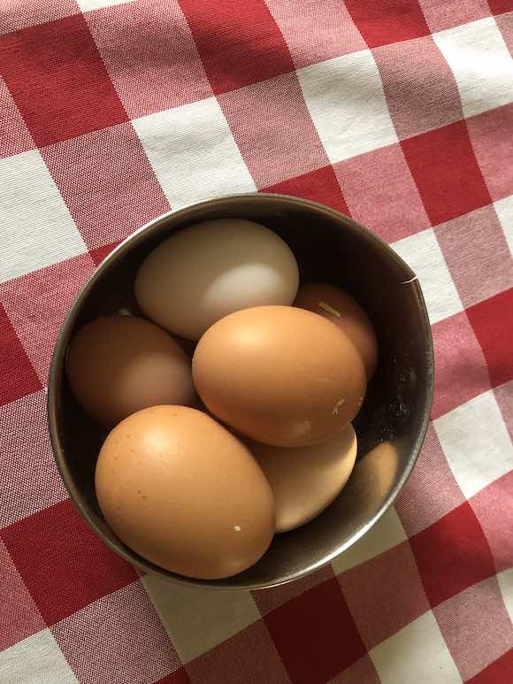 eggs