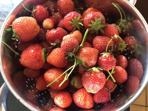 strawberries