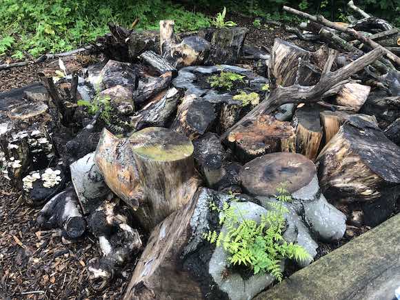 Stumpery