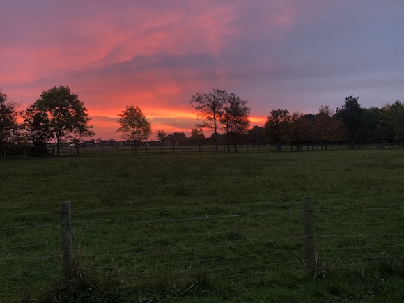 dawn