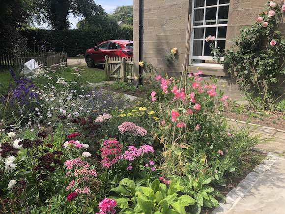 garden