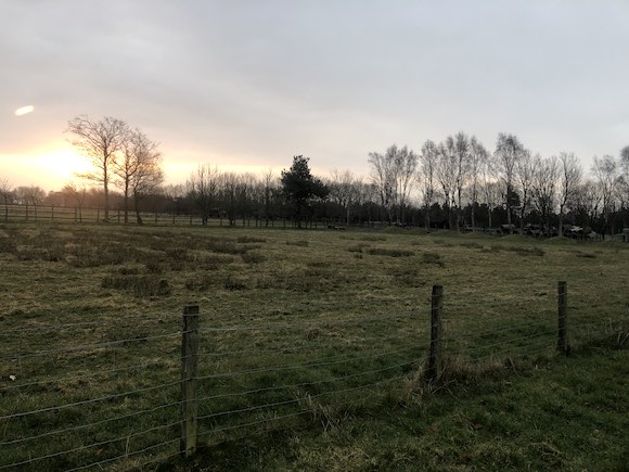 sunrise