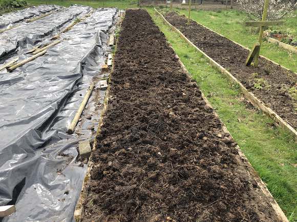 Tattie bed