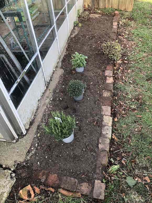 herbs