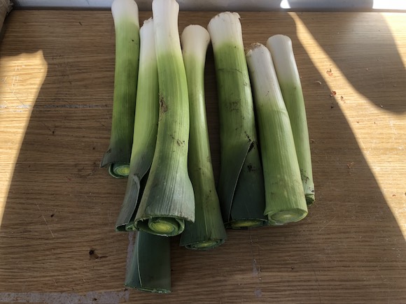 leeks