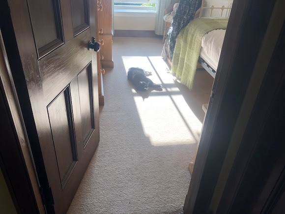 Tom