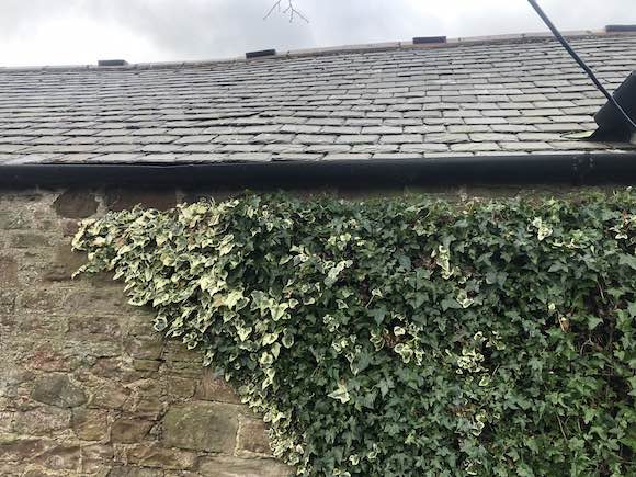 roof