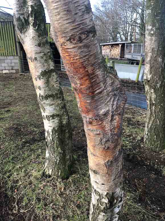 Rubbing spot