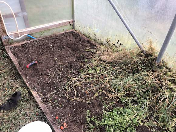 polytunnel