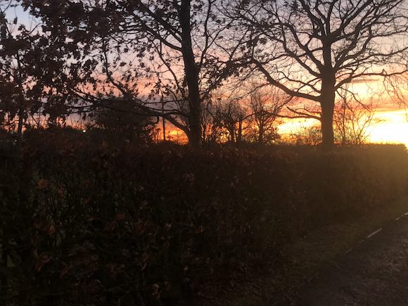 Sunset