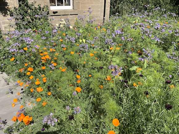 Bee bed