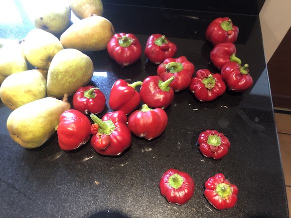 peppers