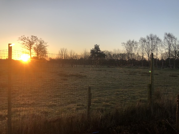 sunrise