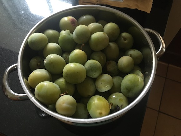 greengages